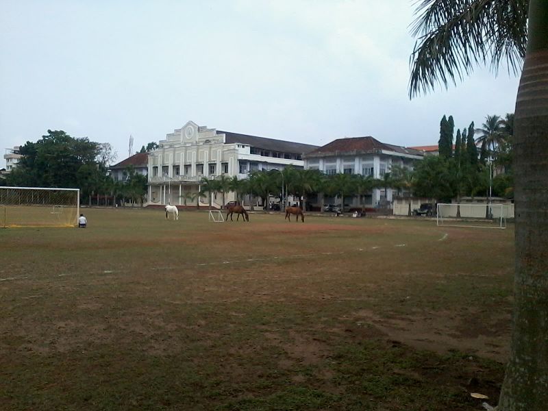 File:Sh college thevara.jpg