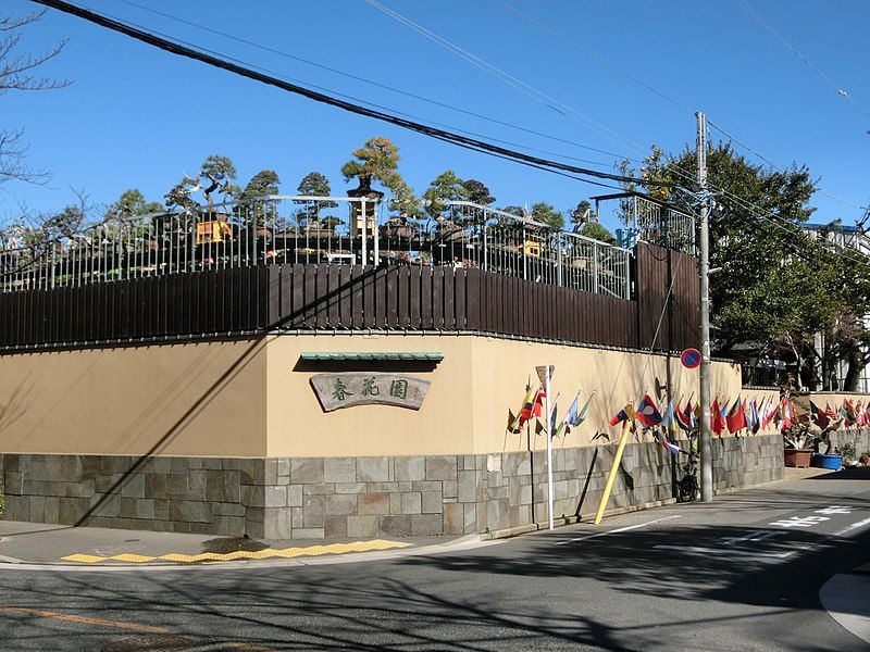 File:Shunkaen Bonsai Museum.JPG