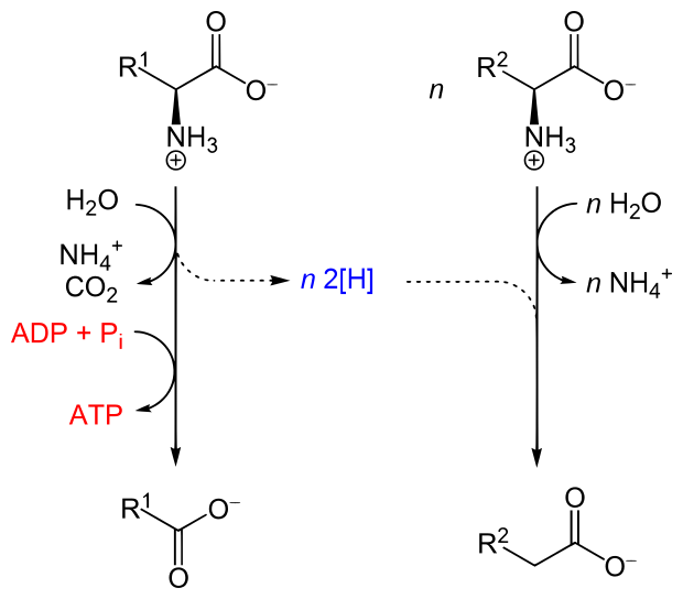 File:Stickland reaction general.svg