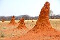 Termitenhügel in Namibia