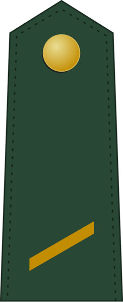 File:US-AGRO-Army-OF-1b (1962).png