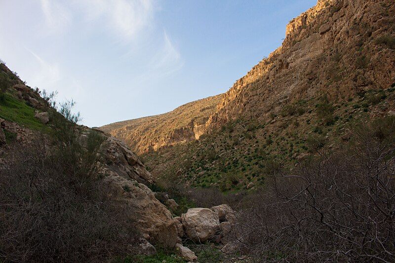 File:Wadi Auja.jpg