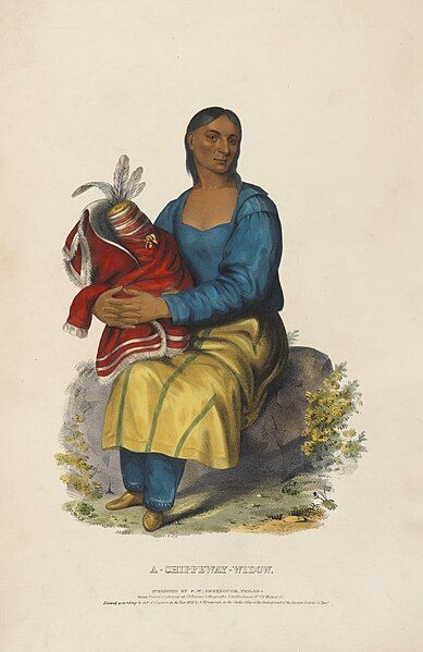 File:A Chippeway Widow.jpg