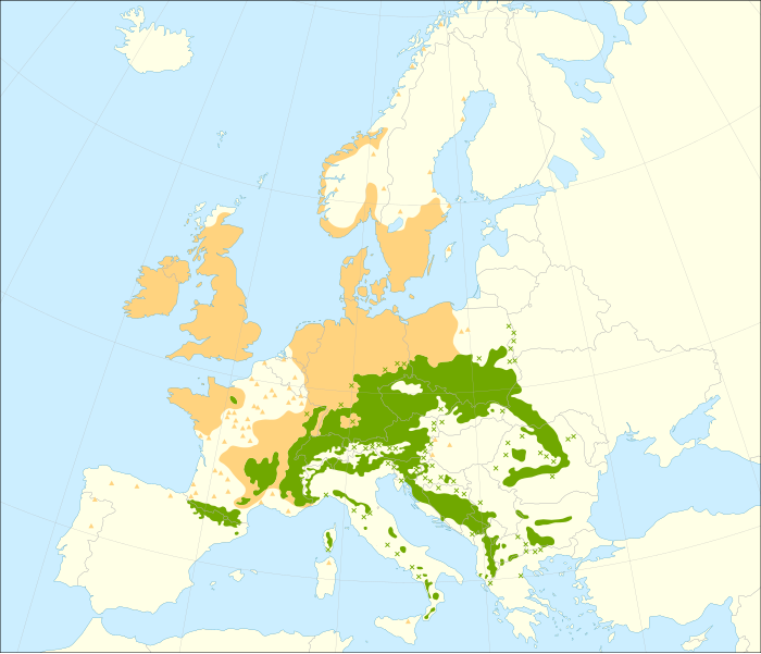 File:Abies alba range.svg