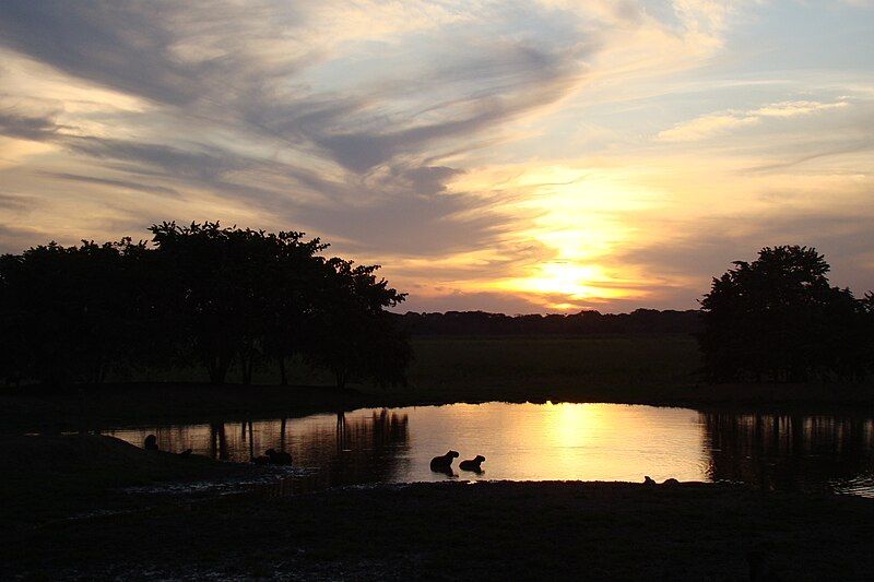 File:Atardecer de paz.JPG