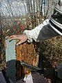 Using a blower to remove bees from honey super prior to removal to honey house