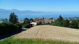 View of Belmont-sur-Lausanne and Lake Geneva