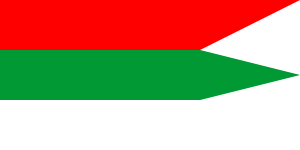 File:Flag of Radaškovičy.svg