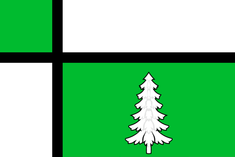 File:Flag of Tayshet.png