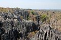 (Tsingy_de_Bemaraha_Strict_Nature_Reserve, Madagascar)