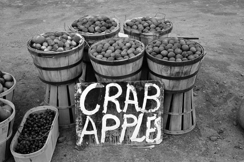 File:Lee-Russell-Farm-Security-Administration-1939-Crab-Apples.jpg