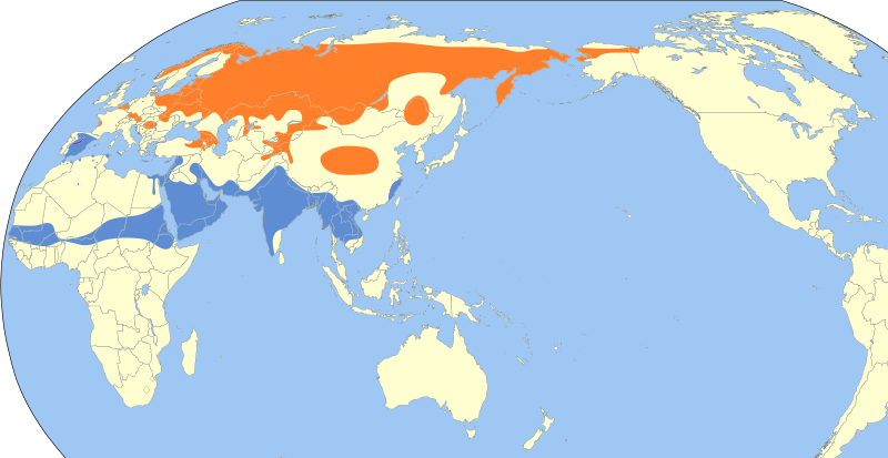 File:Luscinia svecica map.svg