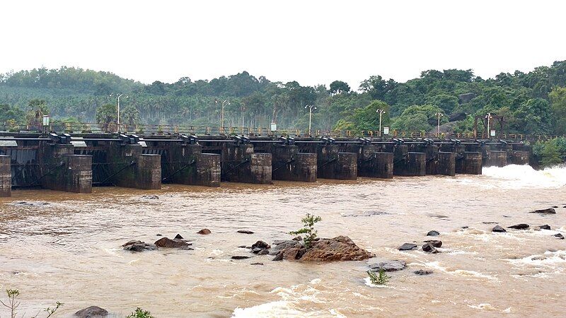 File:Mannapitlu Dam.jpg