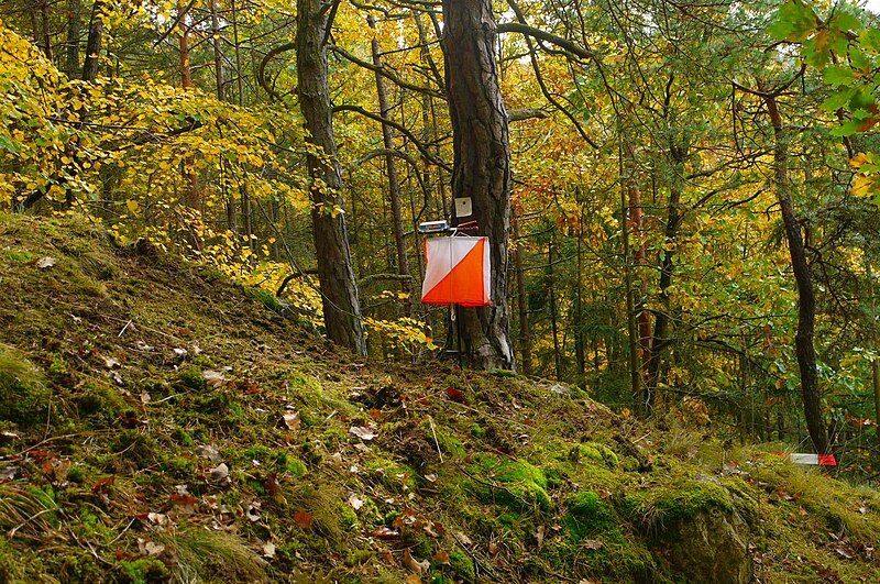 File:Orienteering.jpg