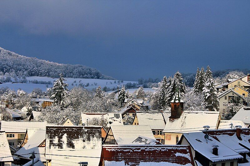 File:Riedlingen in Snow.jpg