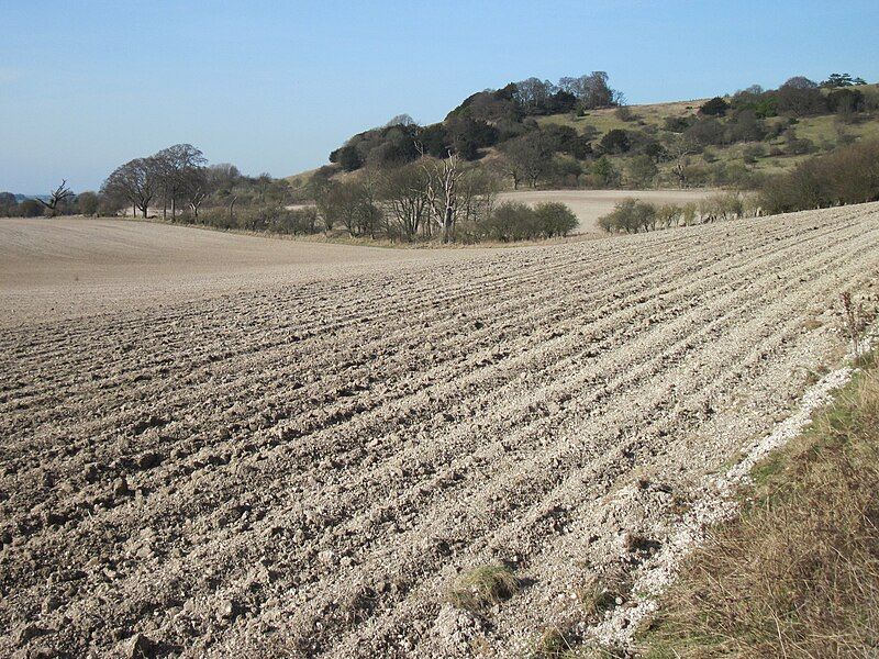 File:Shirburn chalk field.jpg