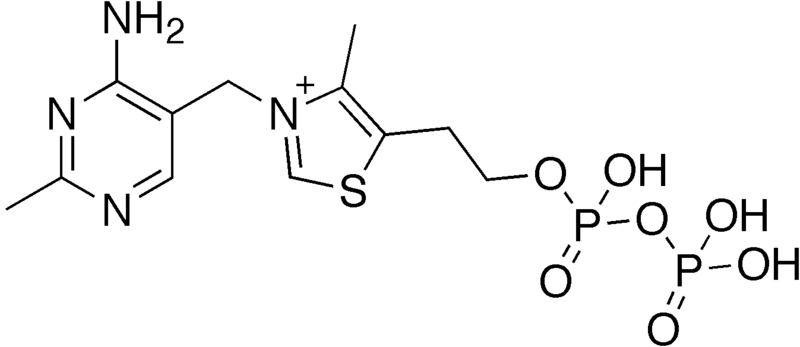 File:Thiamine diphosphate.png