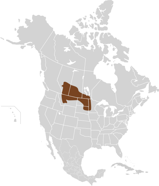 File:Urocitellus richardsonii map.svg