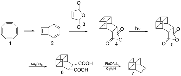 Total Synthesis of Basketene