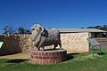 The Big Ram at Karoonda, South Australia