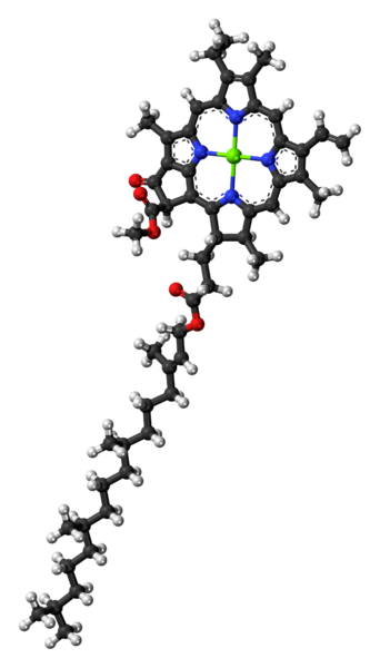 File:Chlorophyll-a-3D-balls.png