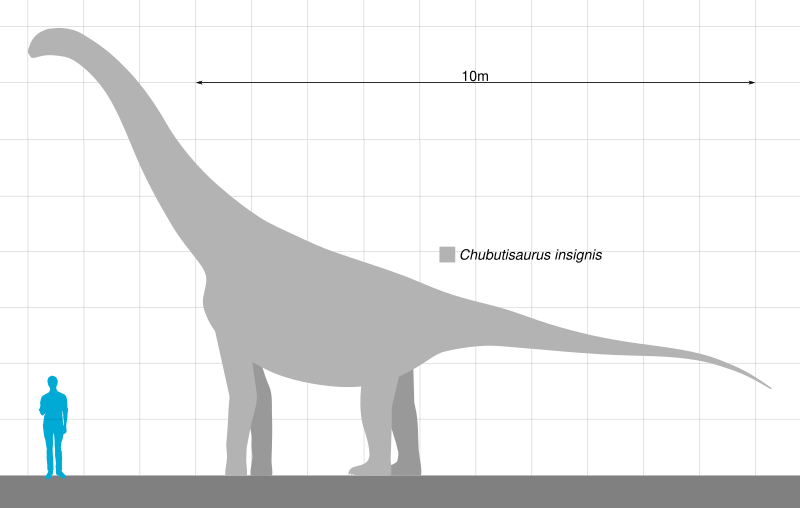 File:Chubutisaurus Scale.svg