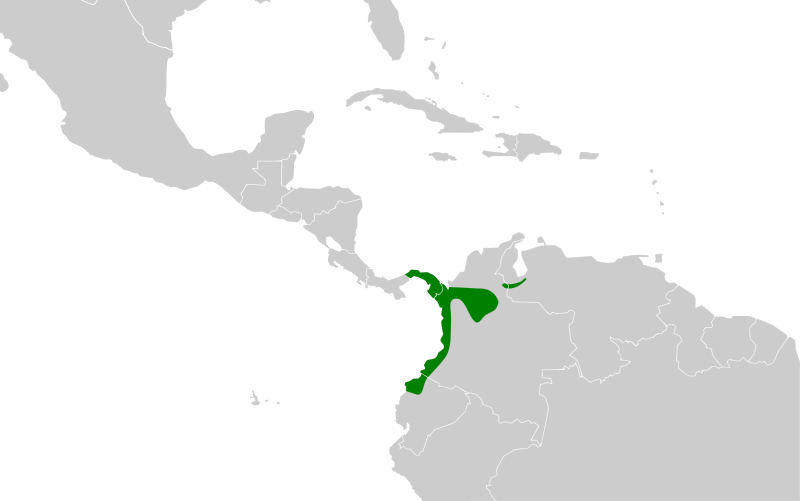 File:Cotinga nattererii map.svg