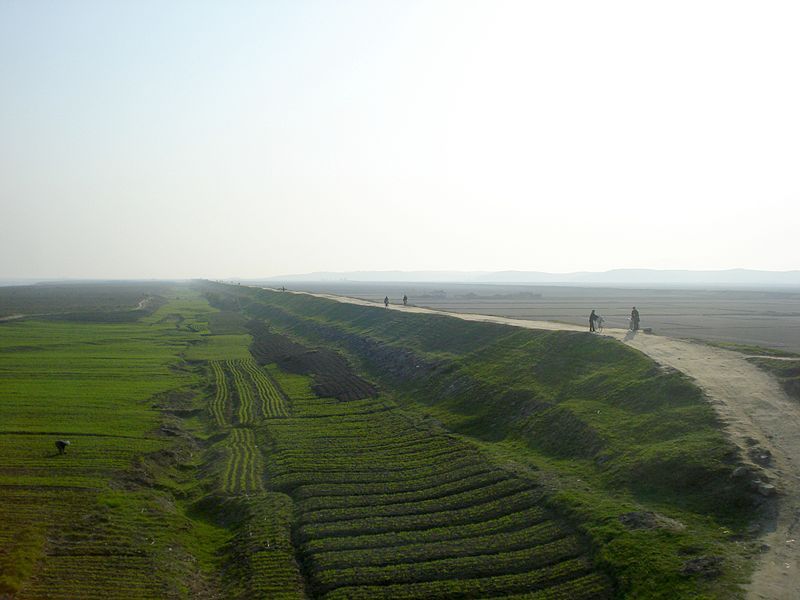 File:DPRK rice.jpg