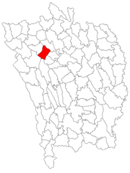 Location in Vaslui County