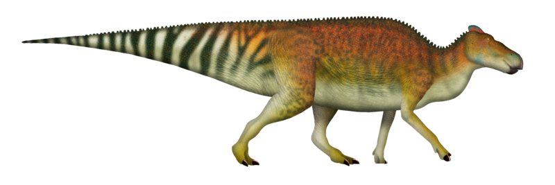 File:Edmontosaurus UDL.png