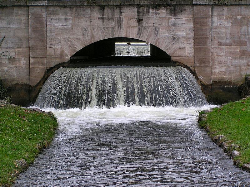 File:Englischer Garten Munich.jpg