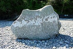 A rock on a cobbled beach, with many barnacles on the lower half, and some figures visible on the upper half.