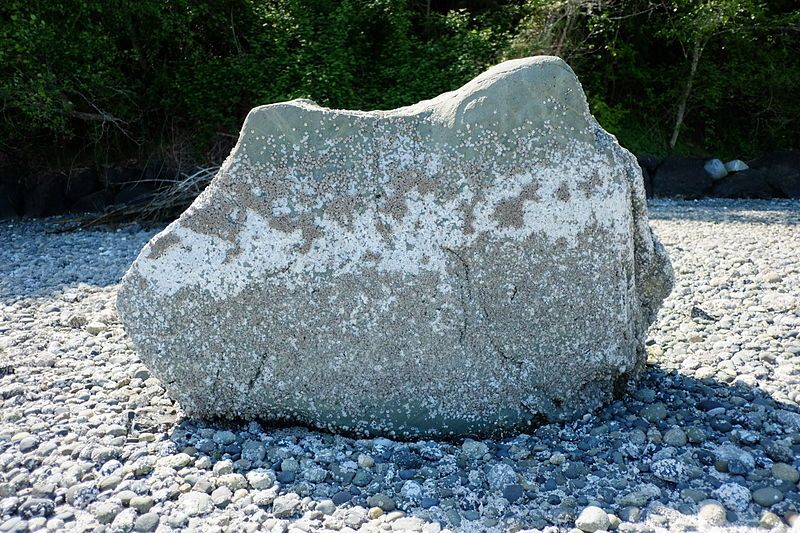 File:Haleets petroglyph rock.JPG