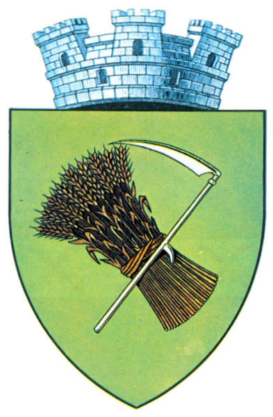 File:Interbelic Salonta CoA.png