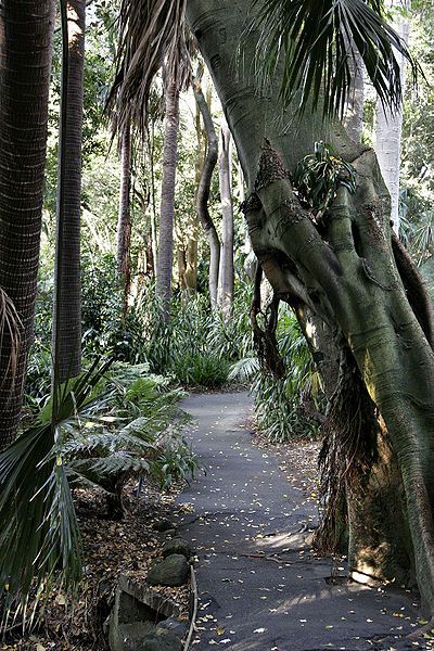 File:Melb botanical gardens04.jpg