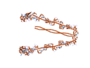 2dfs: 3-D structure of Myosin-V inhibited state