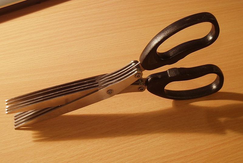 File:ShredderScissors.jpg