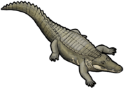 Siamosuchus phuphokensis