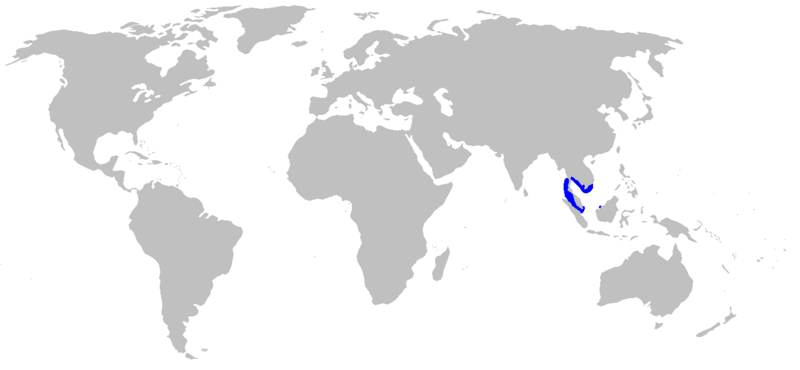 File:Temera hardwickii rangemap.png