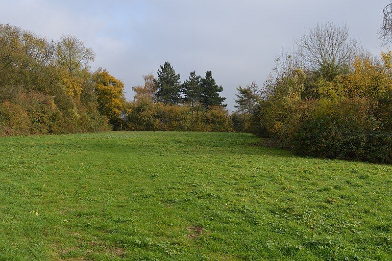 File:Tilwick Meadow 9.JPG