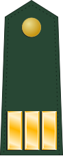 File:US-AGRO-Army-OF-2 (1959).svg