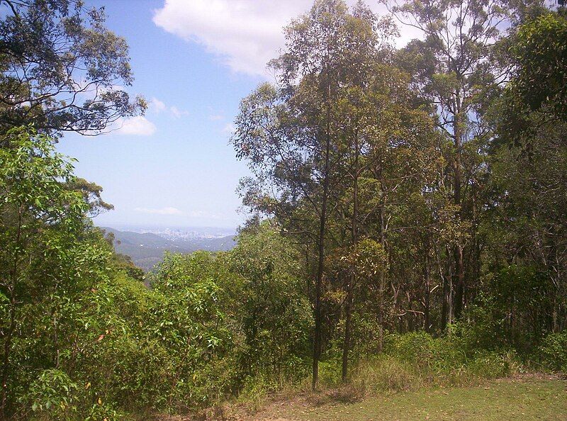 File:View-of-Brisbane-city-from-Camp-Mountain.jpg