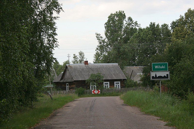 File:Wiluki - Road.jpg