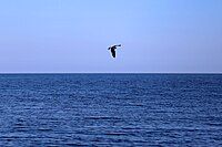 Lake Ladoga, Russia