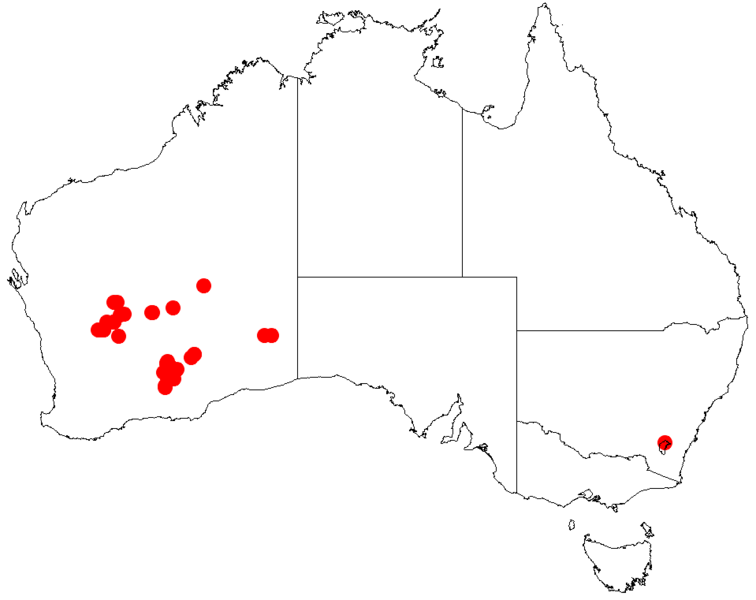 File:Acacia donaldsoniiDistMap303.png