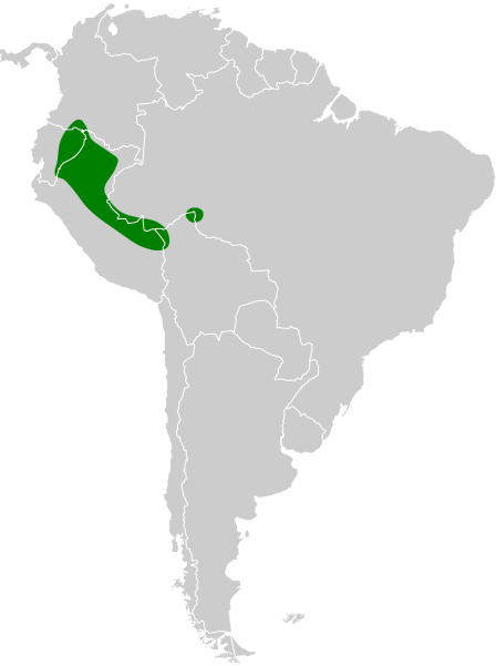 File:Anurolimnas castaneiceps map.svg