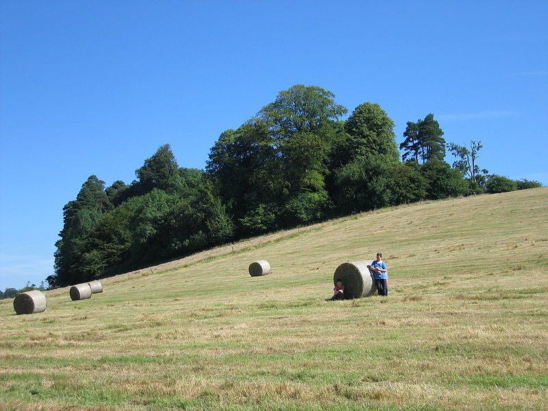 File:CavanHayfield.JPG