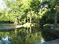 Pond in the park