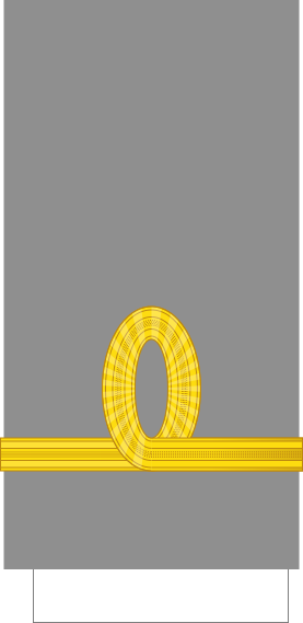 File:Confederates-Navy-Lieutenant (sleeve).svg