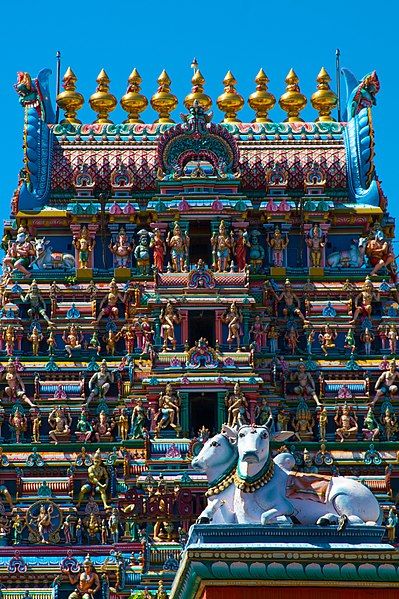 File:Cowmeenakshi.jpg